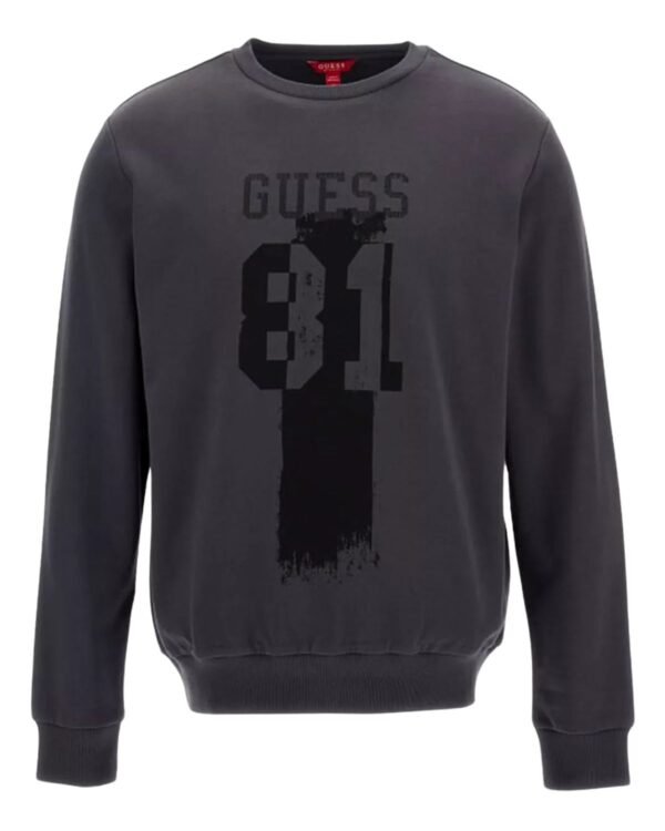 Felpa GUESS 81 Grigia